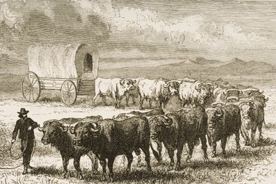 A Bullock Wagon Crossing the Great Plains between St. Louis and Denver, c.1870, from 